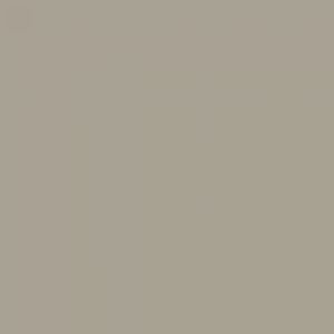 אמסטרדם אקריליק - Amsterdam Acrylic 120ml - warm-grey