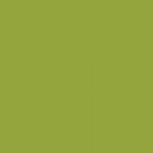 אינק Sennelier Ink - olive-green