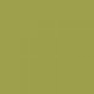 צבע סטיק שמן - Sennelier - chr-green-light
