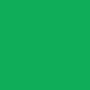 צבע סטיק שמן - Sennelier - cinn-green-y
