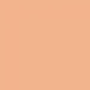 צבע סטיק שמן - Sennelier - flesh-ochre