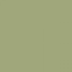 צבע סטיק שמן - Sennelier - olive-green