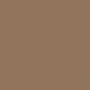 צבע סטיק שמן - Sennelier - senn-brown-light