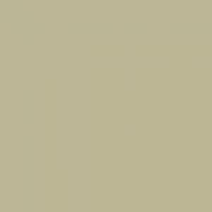צבע סטיק שמן - Sennelier - yellow-grey