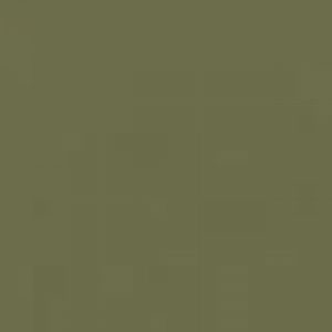 Flame - camo-green-fb-658