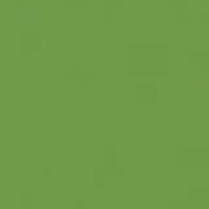 Flame - fern-green-fb-630
