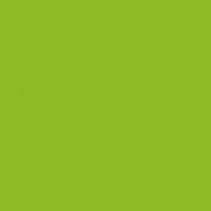 Flame - kiwi-fb-642