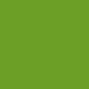 Flame - kiwi-dark-fb-644