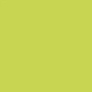 Flame - kiwi-light-fb-640