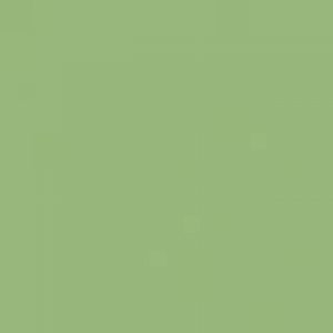 Flame - tarzan-green-fb-656