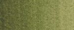 צבעי שמן ארטיסט - Old Holland - green-umber