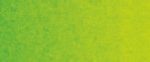 צבעי שמן ארטיסט - Old Holland - old-holland-yellow-green