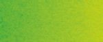 צבעי שמן ארטיסט - Old Holland - old-holland-green-light