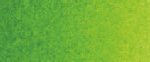 צבעי שמן ארטיסט - Old Holland - permanent-green
