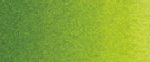 צבעי שמן ארטיסט - Old Holland - sap-green-lake-extra