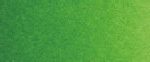 צבעי שמן ארטיסט - Old Holland - old-holland-bright-green