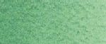 צבעי שמן ארטיסט - Old Holland - viridian-green-light