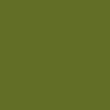 צבע ספריי גרפיטי - MOLOTOW Belton Premium - nature-green-light-181-1