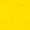צבעי שמן ארטיסט 150מל - GAMBLIN Artists Grade - hansa-yellow-light-ag-150ml