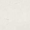 צבעי שמן ארטיסט 150מל - GAMBLIN Artists Grade - titanium-white-ag-150ml